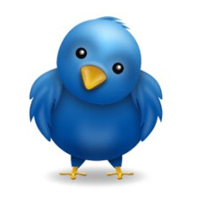 Twitter bird